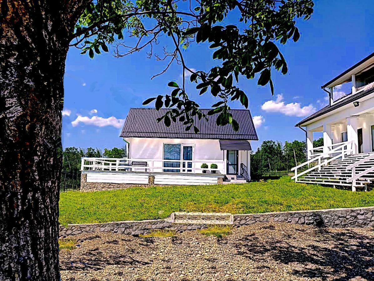 Villa Cosy House Berehomet Exterior foto